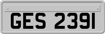 GES2391