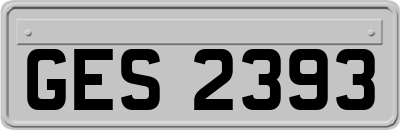 GES2393