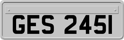 GES2451