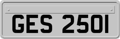 GES2501