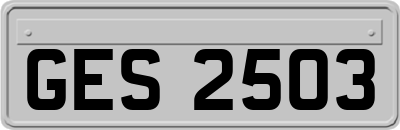 GES2503