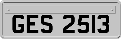 GES2513