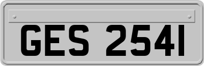 GES2541