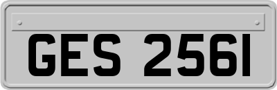 GES2561