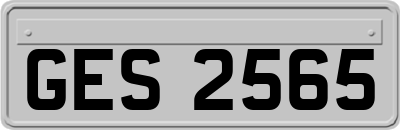 GES2565