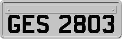GES2803