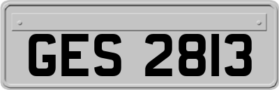 GES2813