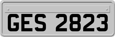 GES2823