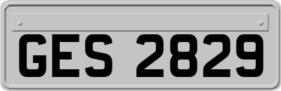 GES2829