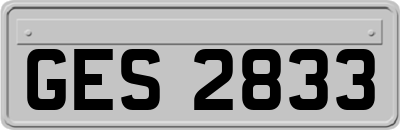 GES2833