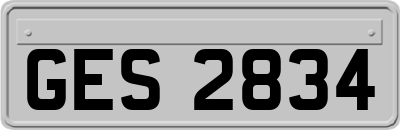 GES2834