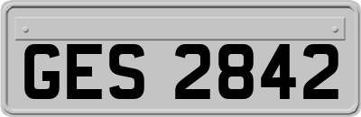 GES2842