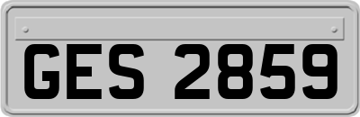GES2859