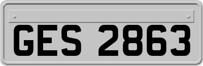 GES2863