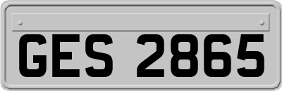 GES2865