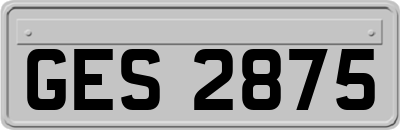 GES2875