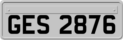 GES2876