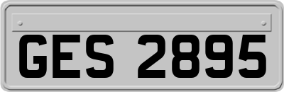GES2895