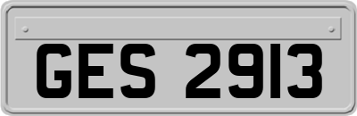 GES2913