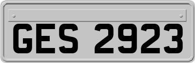 GES2923