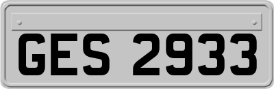 GES2933