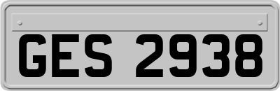 GES2938