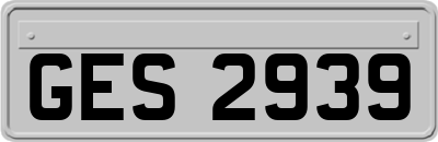 GES2939