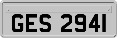 GES2941