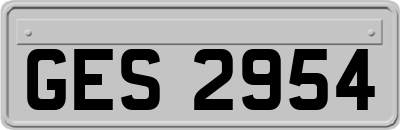 GES2954