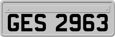GES2963