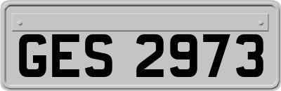 GES2973