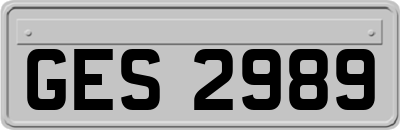 GES2989