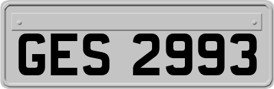 GES2993