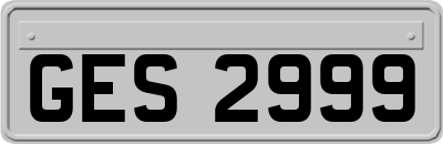 GES2999