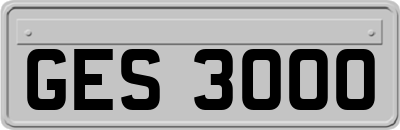GES3000