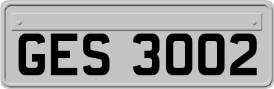 GES3002
