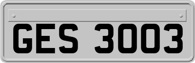 GES3003