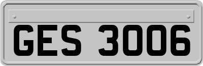 GES3006