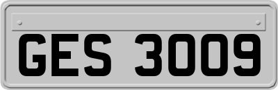 GES3009