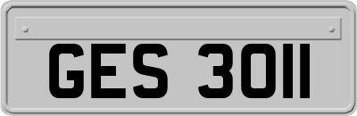GES3011