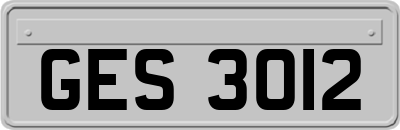 GES3012