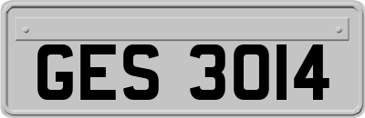 GES3014