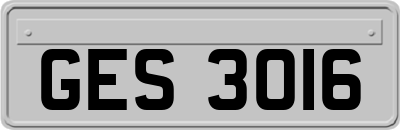 GES3016
