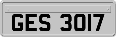 GES3017