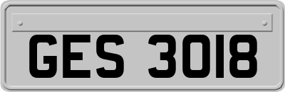 GES3018