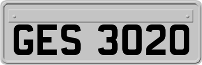 GES3020