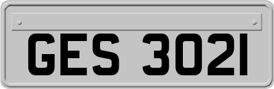GES3021