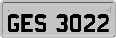 GES3022