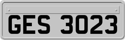 GES3023