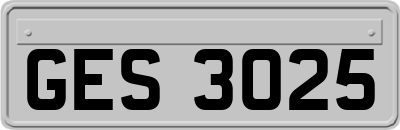GES3025